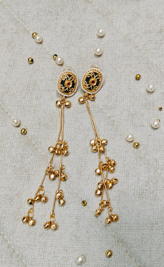 Kashmiri Long Earrings