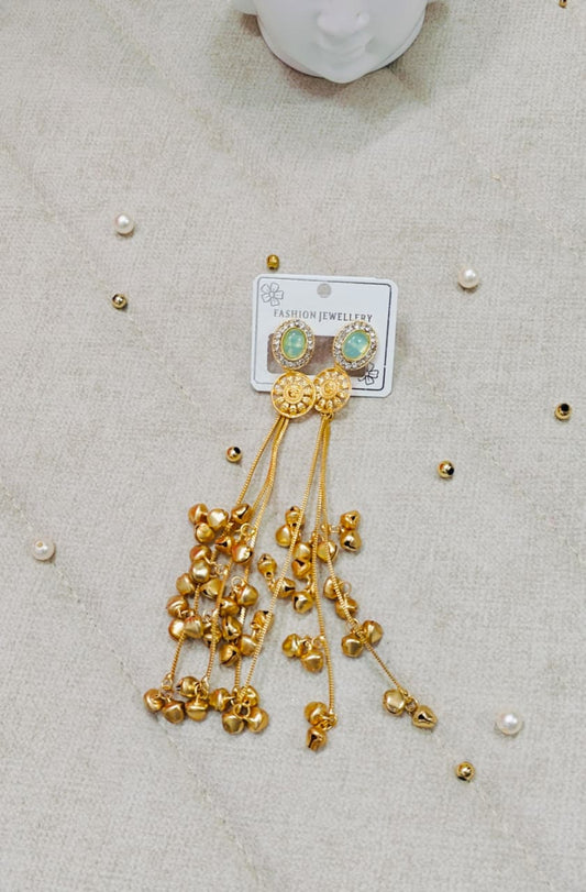Long Kashmiri Earrings